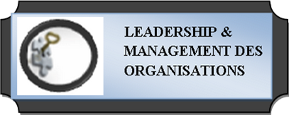 Leadership & Management des organisations-LMO 