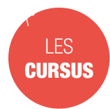 les_cursus.png